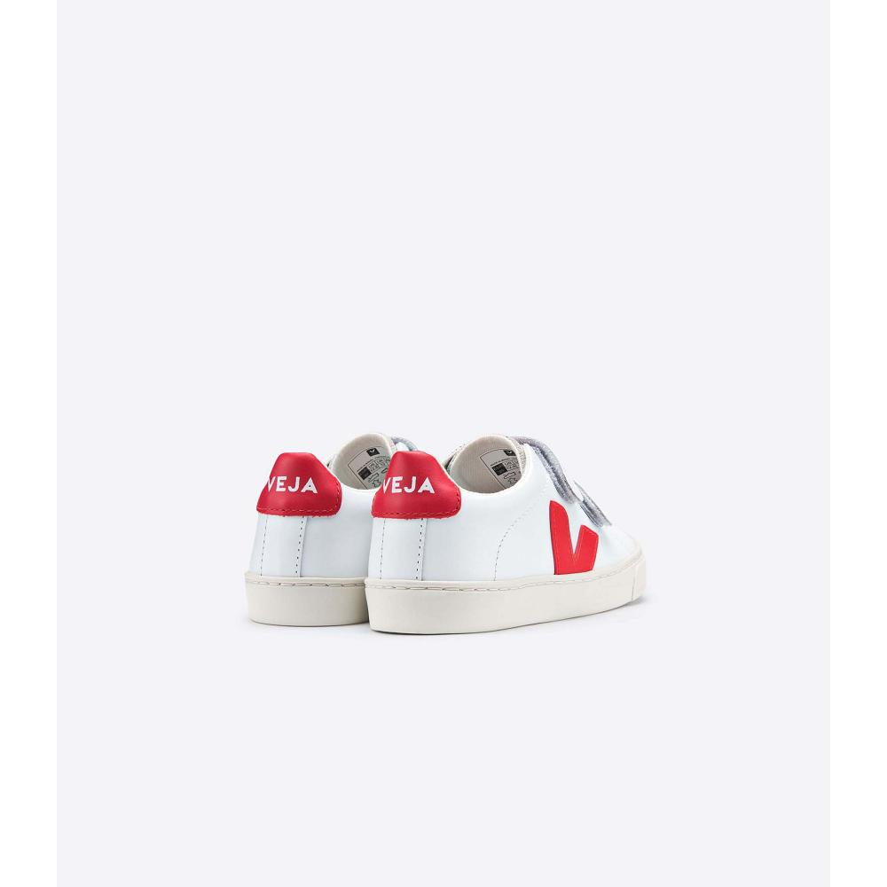 White/Red Kids' Veja ESPLAR LEATHER Sneakers | AU 811ILH